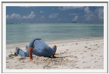 The Easiest Way to Grow Your Business- Get Your Head Out of the Sand